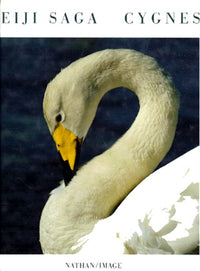 Cygnes