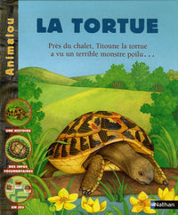 La tortue