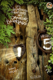 Les désastreuses aventures des Orphelins Baudelaire : Intégral 5