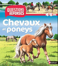 N11 - CHEVAUX ET PONEYS