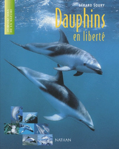 Dauphins en liberté
