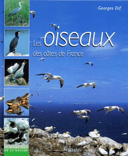 Les Oiseaux des côtes de france