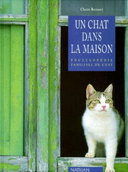 Un chat dans la maison