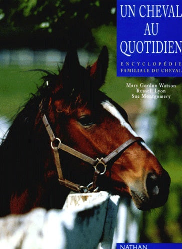 Un cheval au quotidien