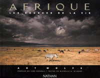Afrique les sources de la vie