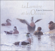 La Lumière et les oiseaux