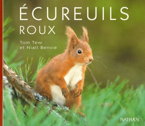 Ecureuils roux