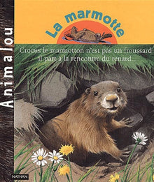 La marmotte