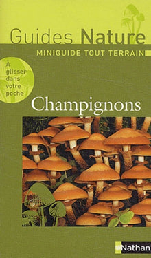 Champignons