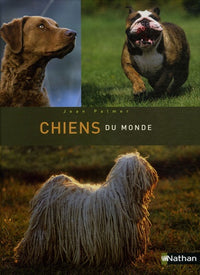 Chiens du monde