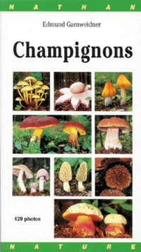 Champignons (gros plan)
