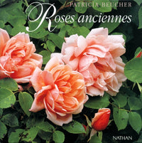 Roses anciennes d'hier et d'aujourd'hui