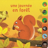 Une journée en forêt
