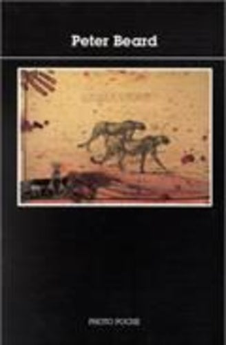 Peter Beard, numéro 67