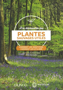À la découverte des plantes sauvages utiles