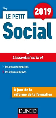 Le Petit Social 2019 - L'essentiel en bref: L'essentiel en bref (2019)