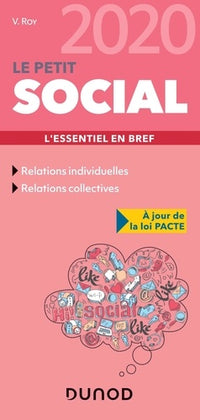 Le Petit Social 2020 - L'essentiel en bref: L'essentiel en bref (2020)