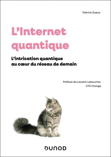 L'internet quantique