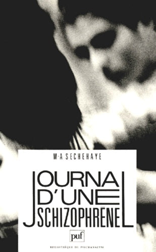 Journal d'une schizophrène