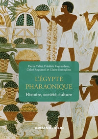 L'Egypte pharaonique - Histoire, société, culture: Histoire, société, culture