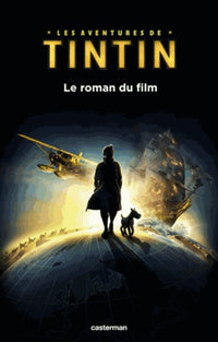 Le roman du film