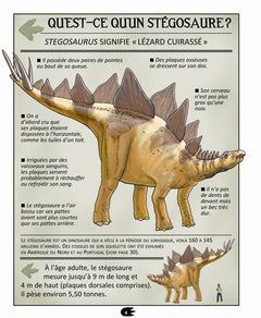 Stégosaure
