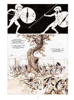 Le coeur des amazones