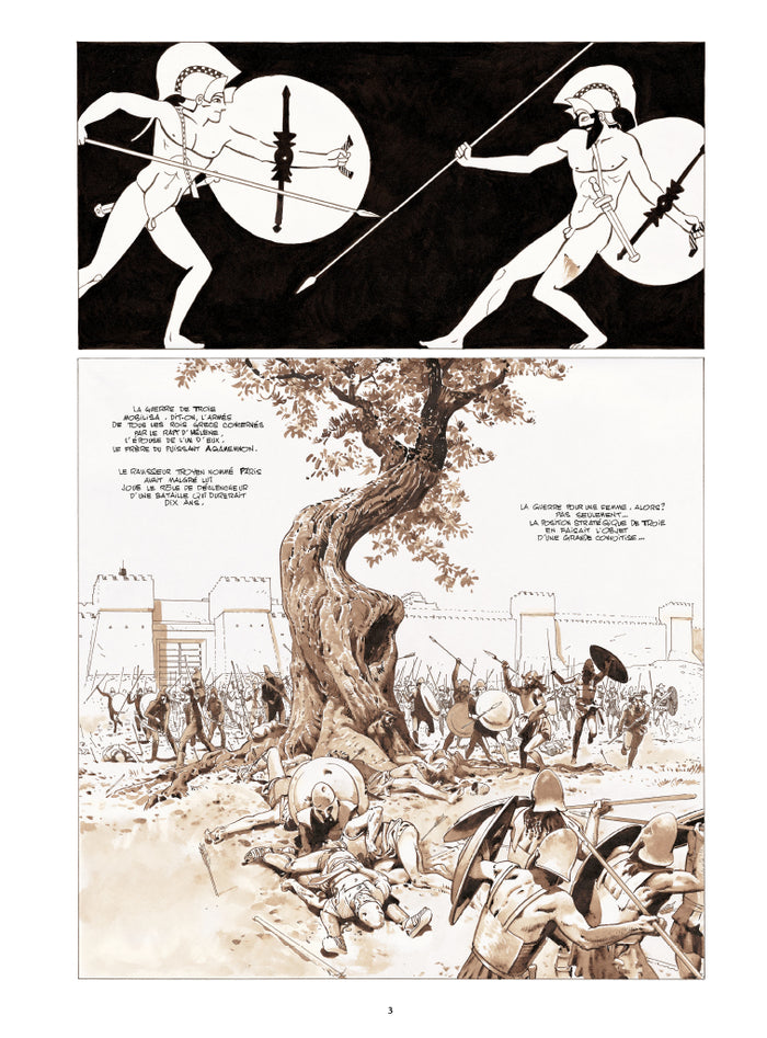 Le coeur des amazones