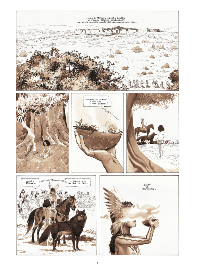 Le coeur des amazones