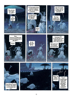 Là où vont les fourmis