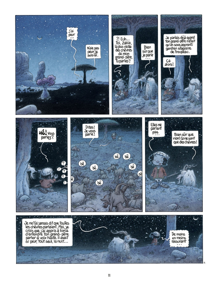 Là où vont les fourmis