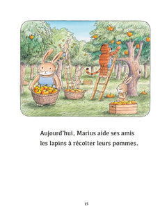 La citrouille géante