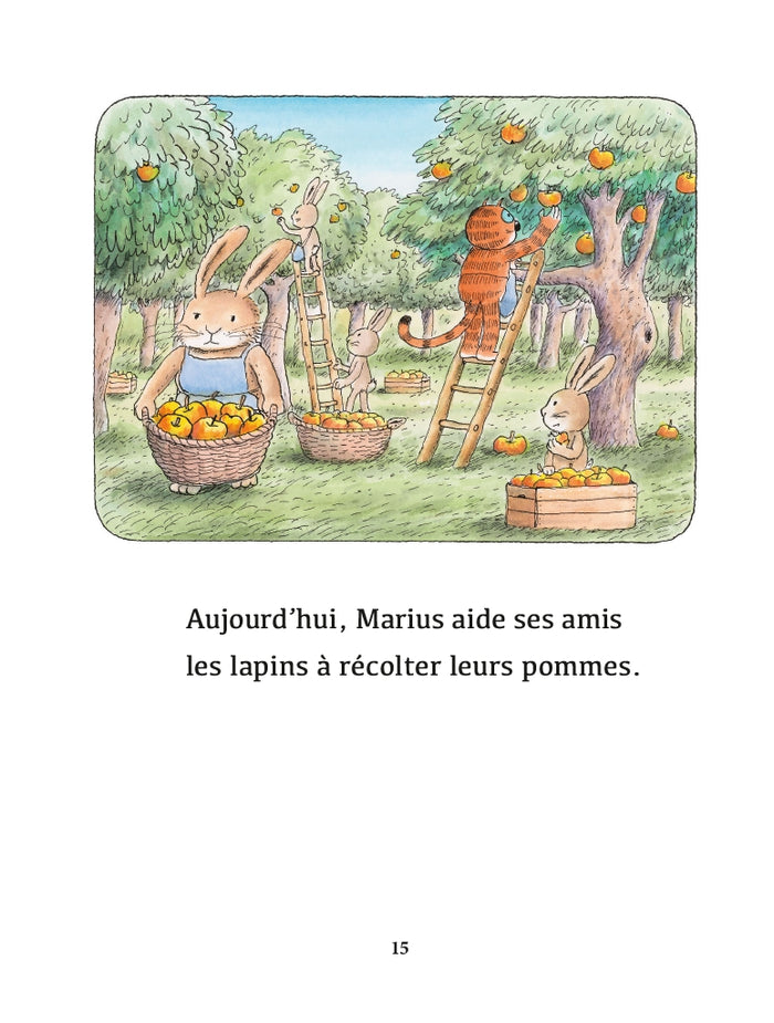 La citrouille géante