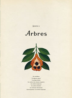 Encyclopedium - Botanicum