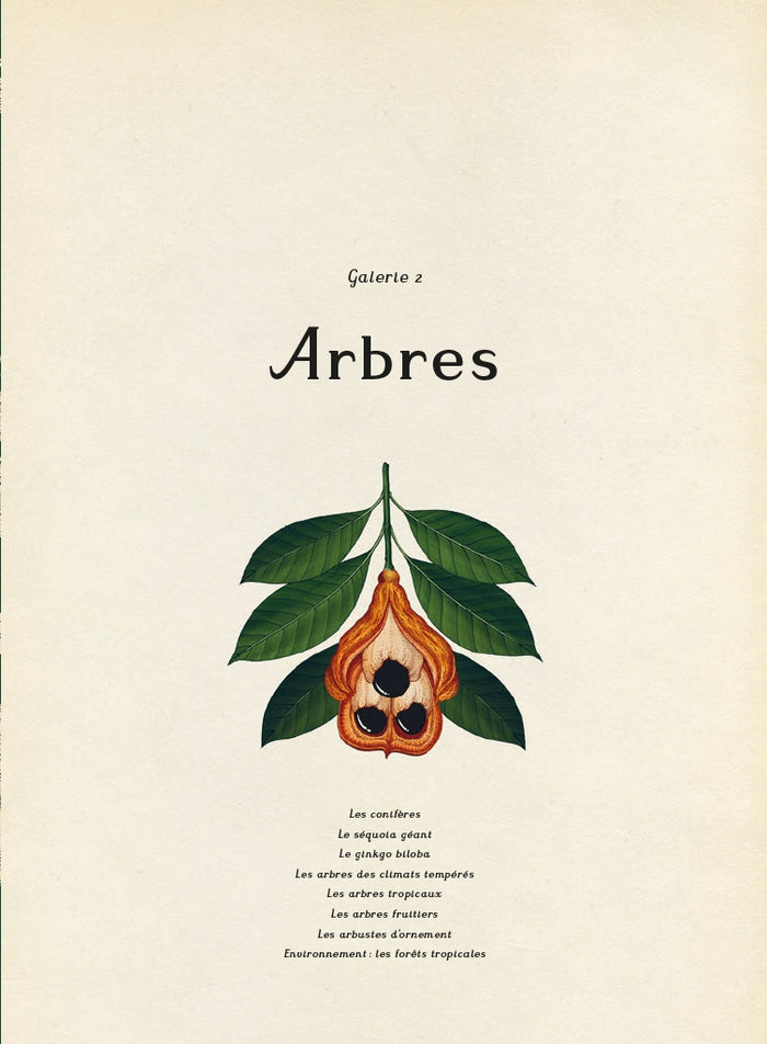 Encyclopedium - Botanicum