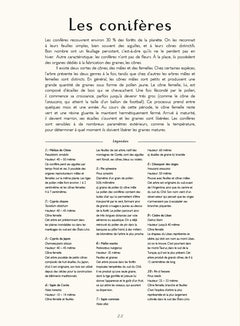 Encyclopedium - Botanicum