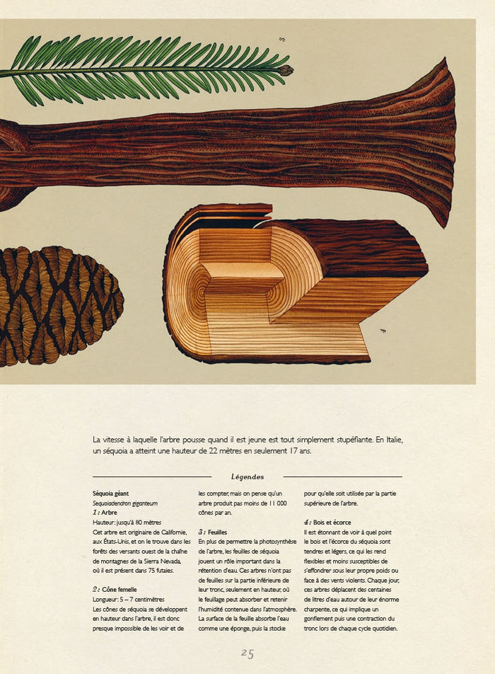 Encyclopedium - Botanicum
