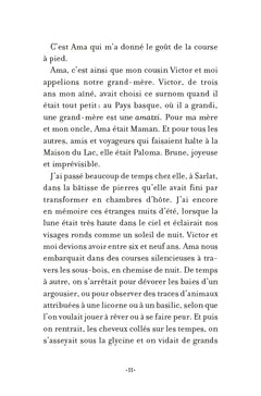 Le complexe du papillon