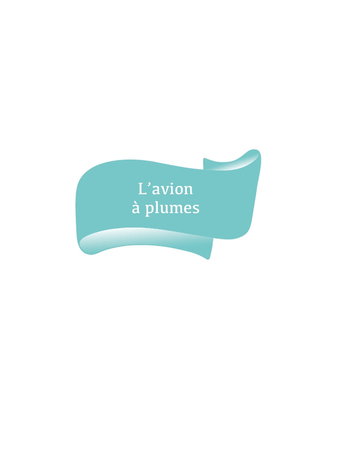 L'avion à plumes