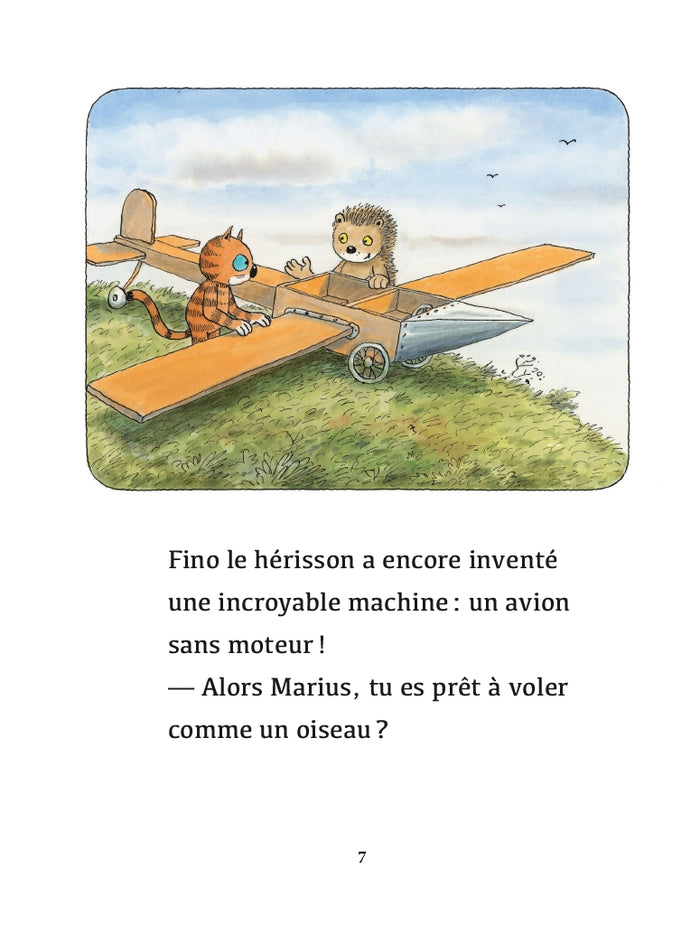 L'avion à plumes