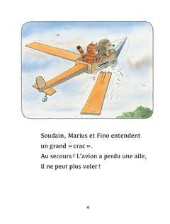 L'avion à plumes