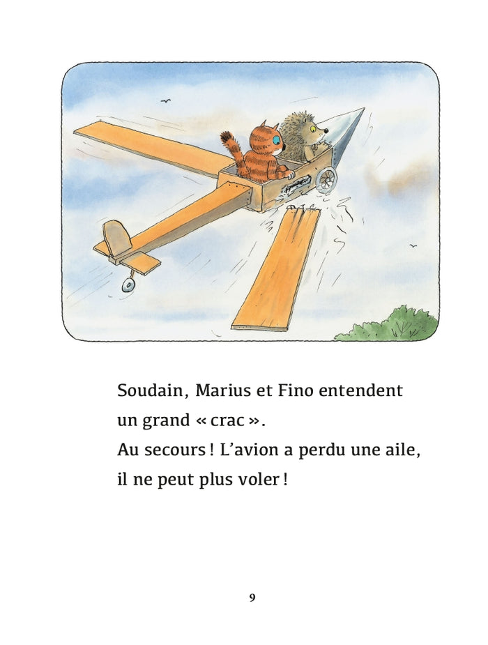 L'avion à plumes
