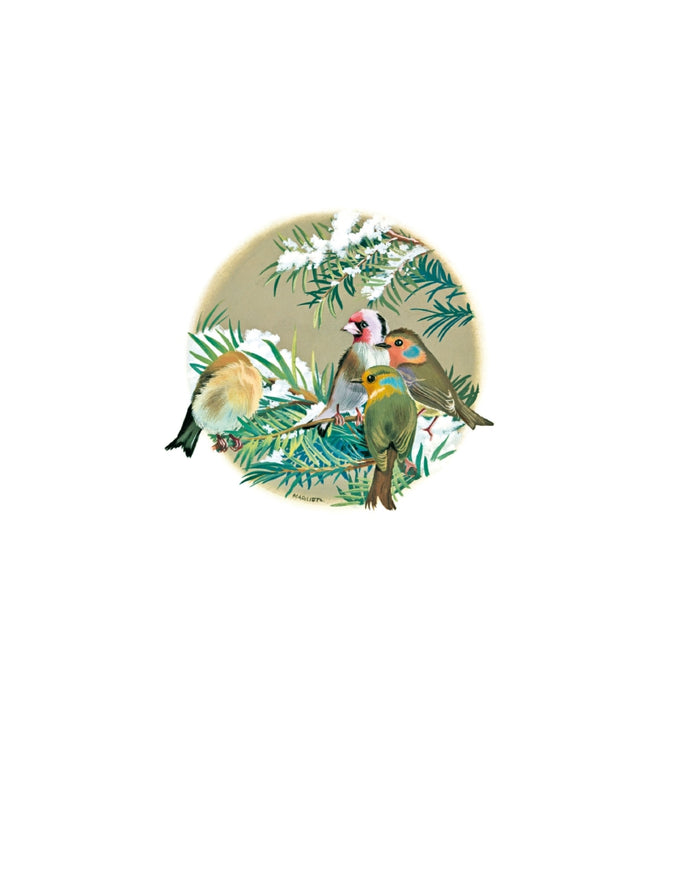 Martine et les quatre saisons