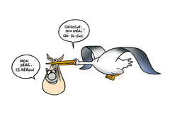 Bons baisers du Chat