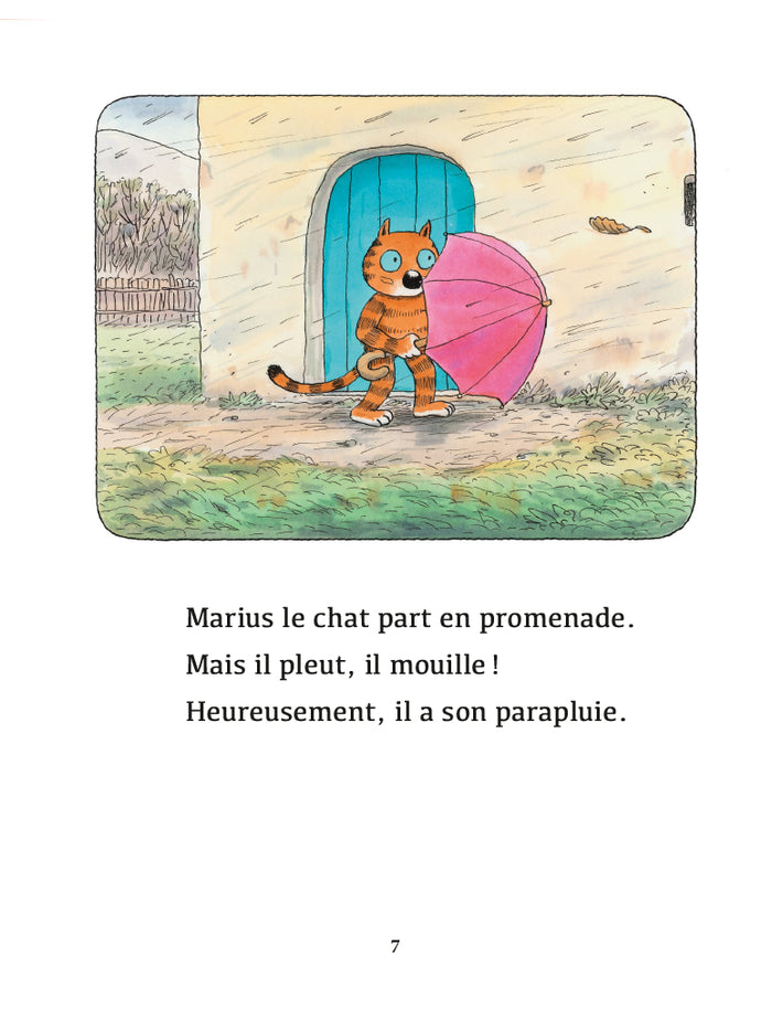 Un coin de parapluie