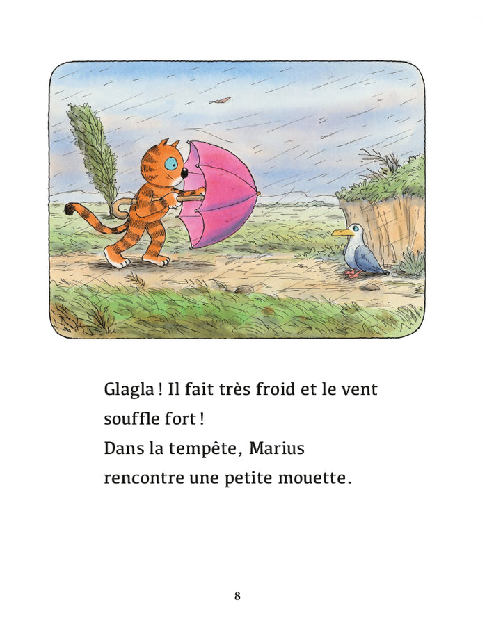 Un coin de parapluie