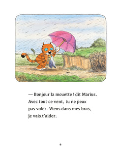 Un coin de parapluie