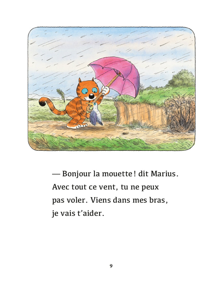 Un coin de parapluie