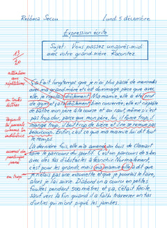Qui a piqué les contrôles de français ?