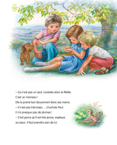 Martine et le petit moineau